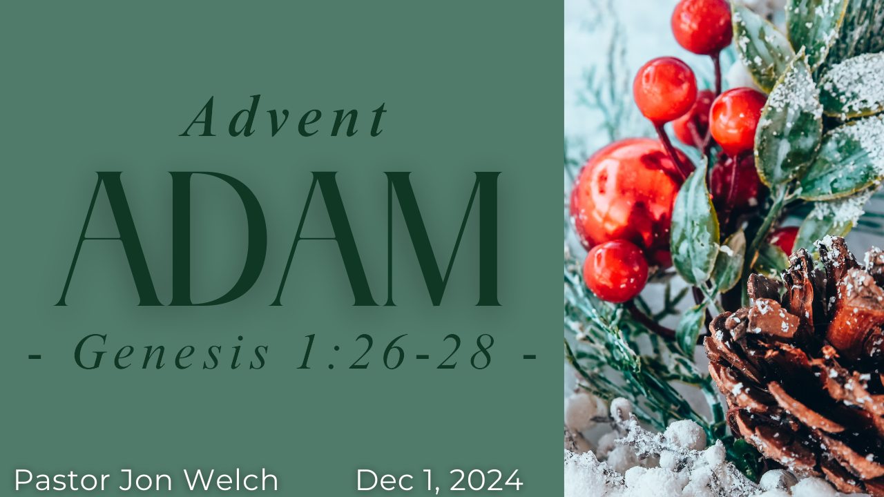 Advent: Adam